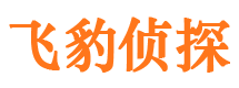 黄石外遇出轨调查取证